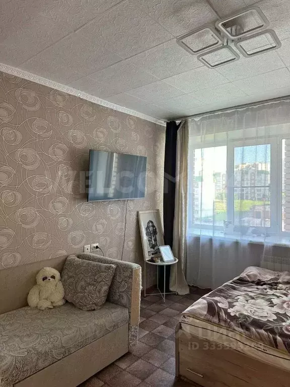 Студия Чувашия, Чебоксары ул. Мате Залка, 16к1 (27.6 м) - Фото 2