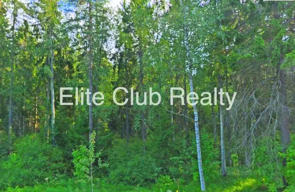 Участок в Санкт-Петербург пос. Солнечное,  (778.0 сот.) - Фото 1