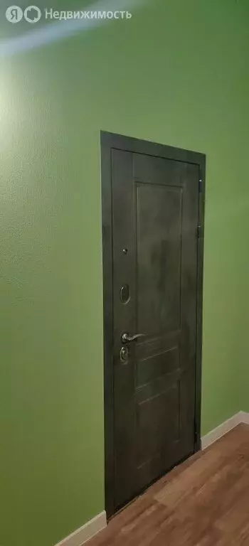 Квартира-студия: Санкт-Петербург, улица Писарева, 18Б (25 м) - Фото 1