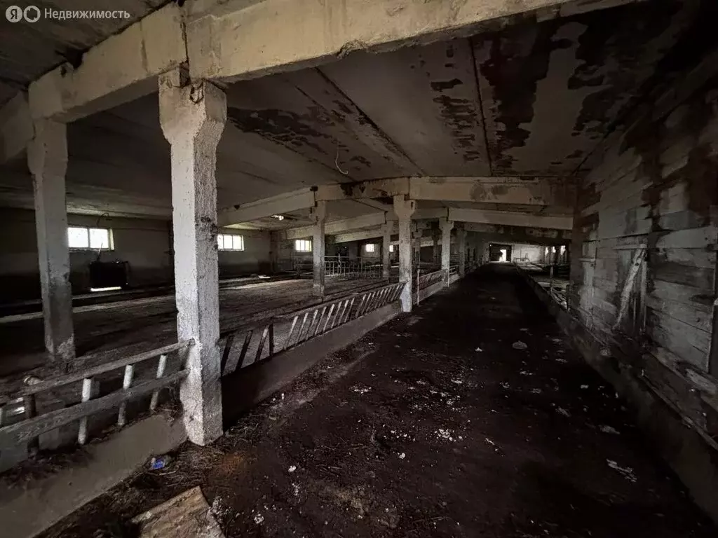 Производственное помещение (1050 м) - Фото 2