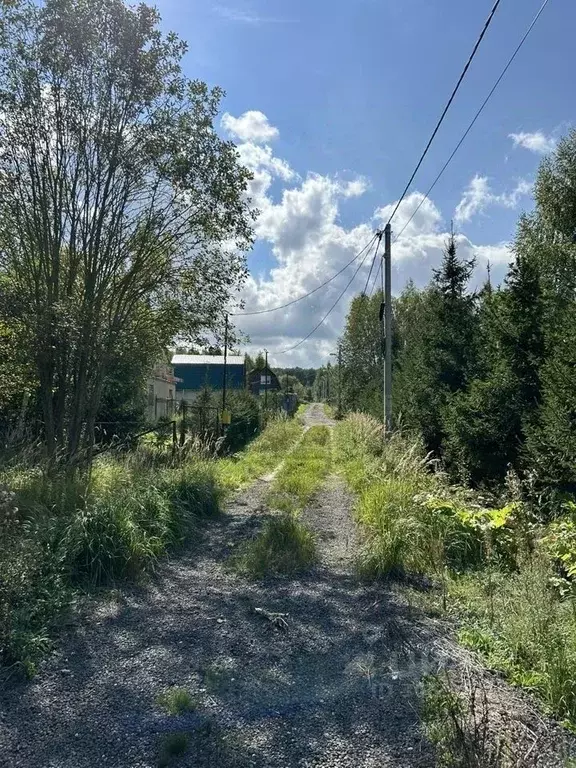 Дом в Московская область, Клин городской округ, д. Давыдково  (80 м) - Фото 0