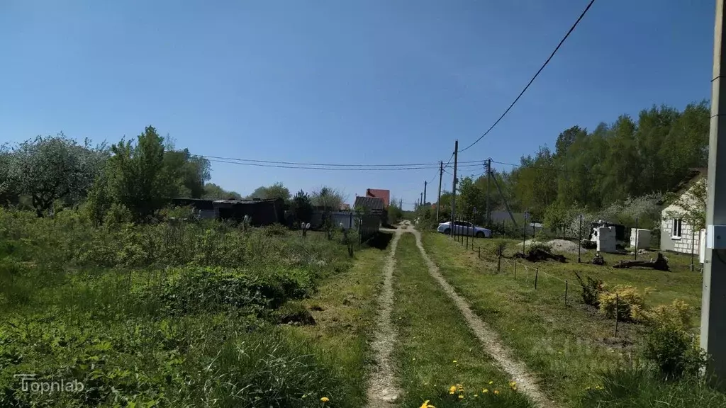 Участок в Калининградская область, Калининград Балтиец СНТ, проезд ... - Фото 2