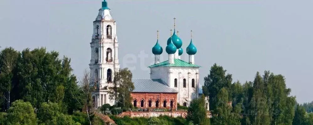 Участок в Ярославская область, Некрасовский муниципальный округ, ... - Фото 0