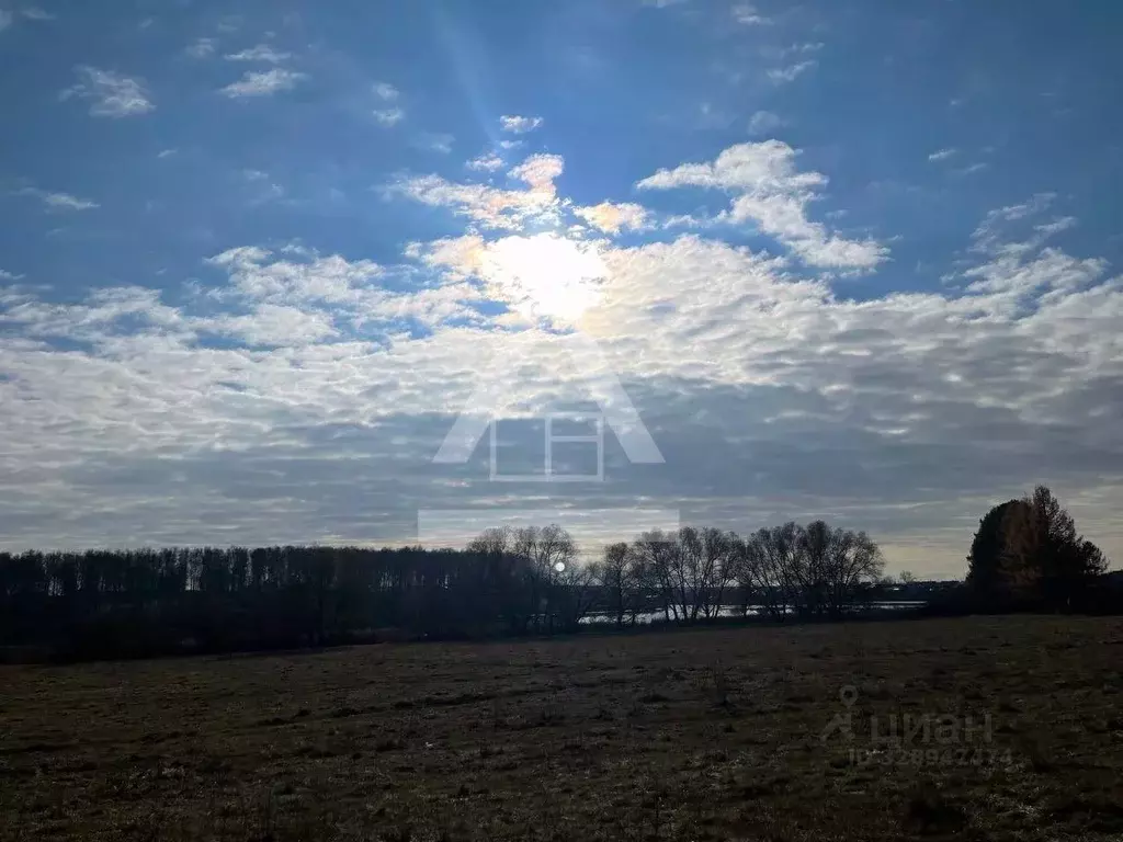 Участок в Челябинская область, Сосновский муниципальный округ, с. ... - Фото 1