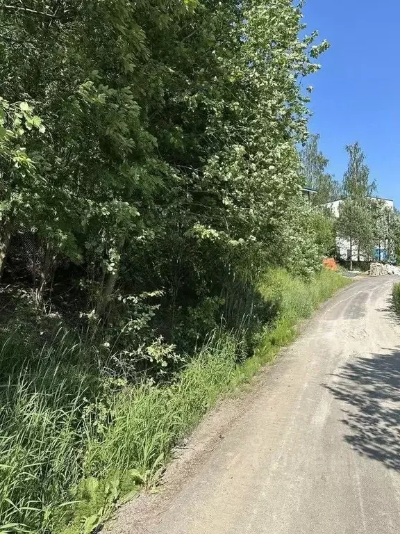 Участок в Ленинградская область, Всеволожский район, д. Юкки аллея ... - Фото 2