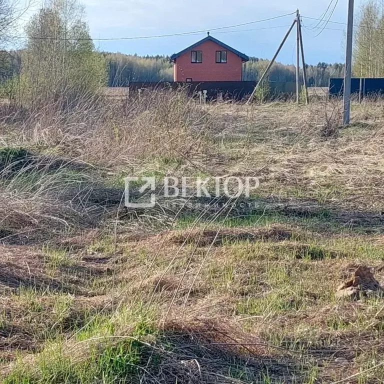 Участок в Ярославская область, Ярославский муниципальный округ, д. ... - Фото 1