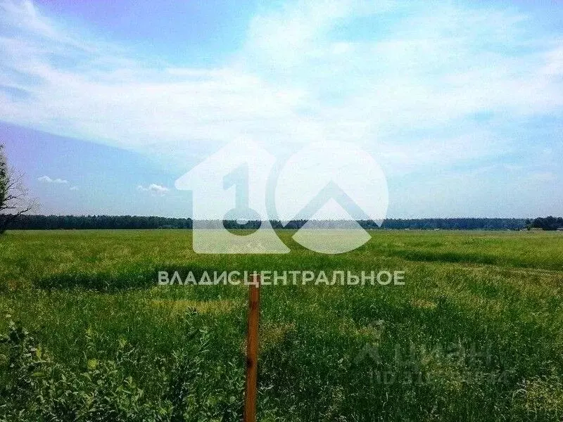 Участок в Новосибирская область, Новосибирск Звездная ул. (5.1 сот.) - Фото 1