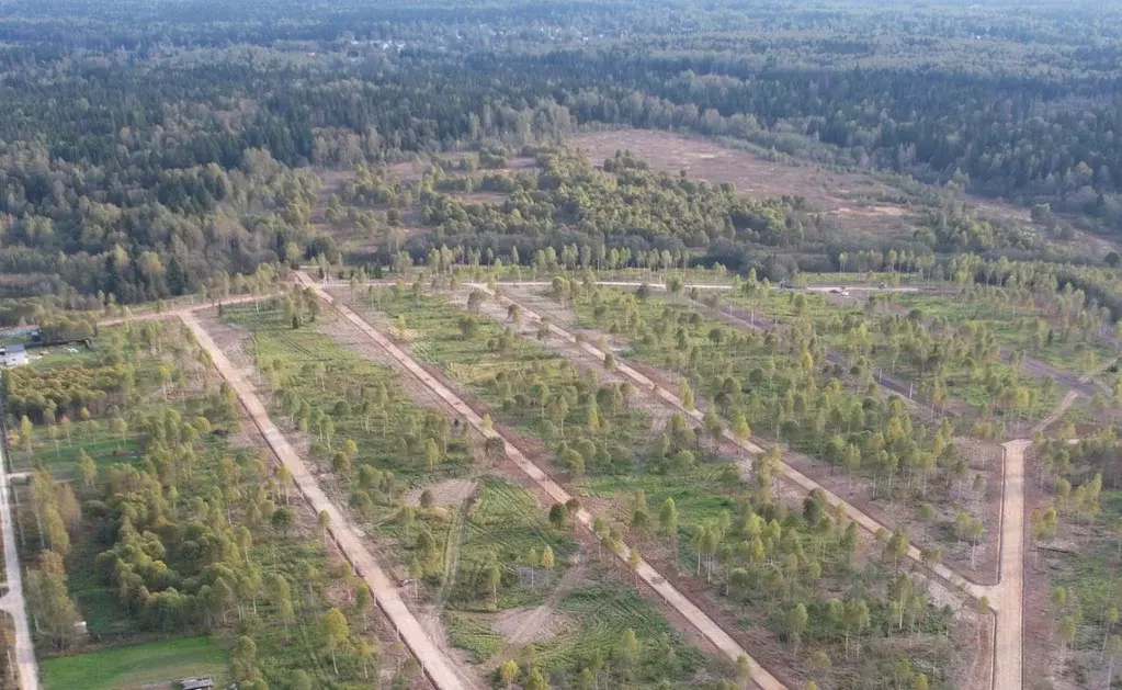 Участок в Московская область, Клин городской округ, Малахитовые дачи ... - Фото 1