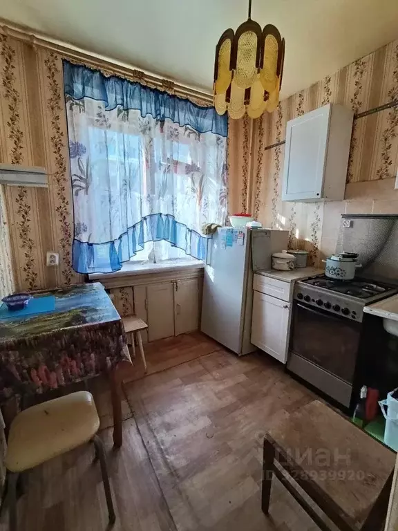 1-к кв. Ленинградская область, Кириши ул. Мира, 5 (31.0 м) - Фото 1