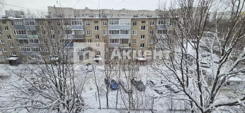 1-к кв. Ивановская область, Иваново ул. Шошина, 4А (30.6 м) - Фото 2