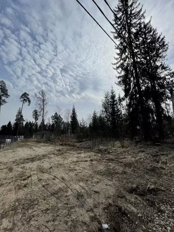 Участок в Ленинградская область, Гатчинский муниципальный округ, ... - Фото 2