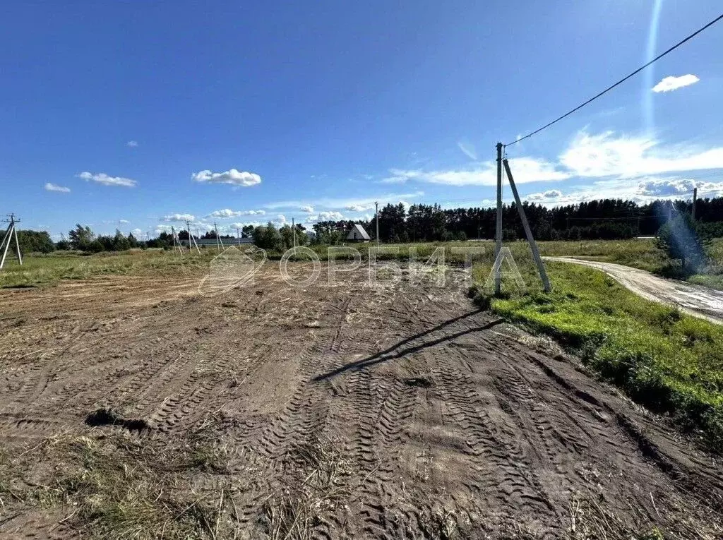 Участок в Тюменская область, Тюменский муниципальный округ, с. Борки  ... - Фото 2