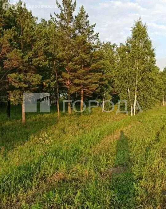 Участок в Новосибирский район, Верх-Тулинский сельсовет, садовое ... - Фото 1