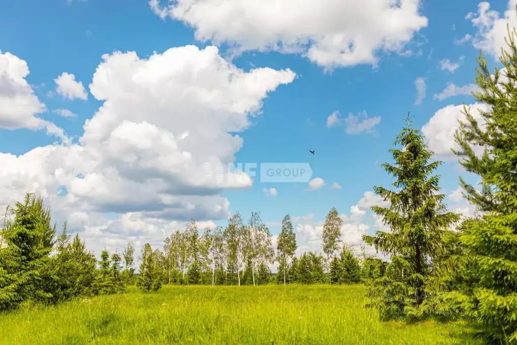 Участок в Московская область, Истра городской округ, д. Захарово, ... - Фото 1