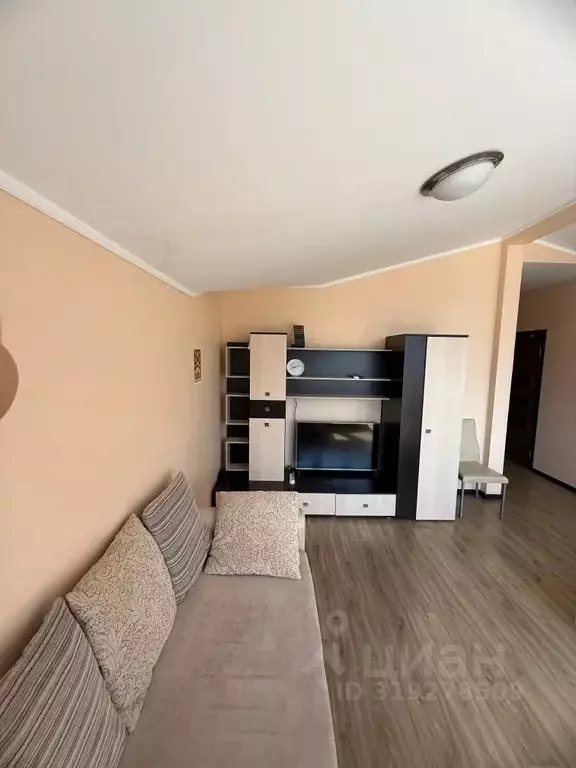 Студия Краснодарский край, Геленджик ул. Свердлова, 25 (35.0 м) - Фото 1