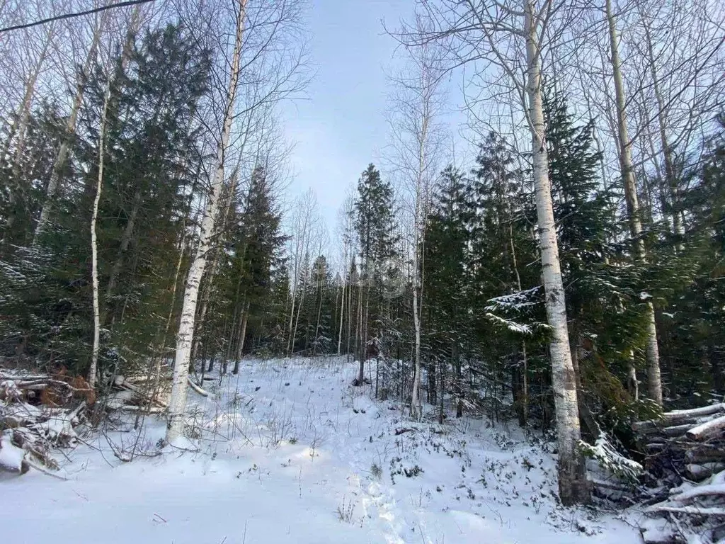 Участок в Ханты-Мансийский АО, Ханты-Мансийск Мир СОНТ,  (8.4 сот.) - Фото 1