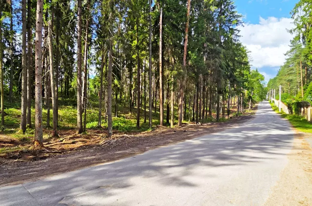 Участок в Ленинградская область, Выборгский район, Рощино городской ... - Фото 1
