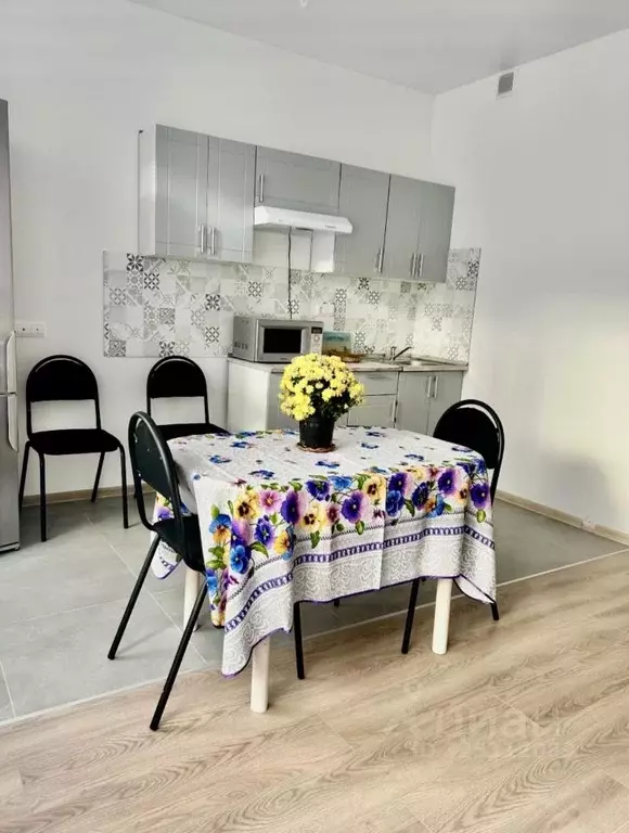 Студия Московская область, Мытищи городской округ, пос. Нагорное ... - Фото 1