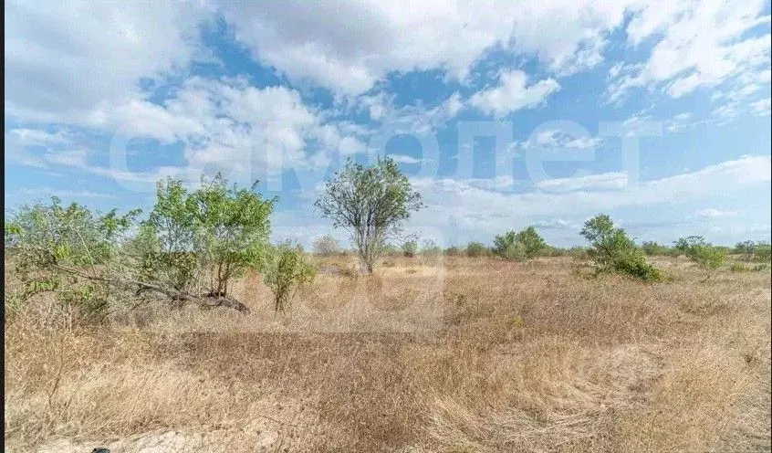 Участок в Крым, Бахчисарайский район, с. Песчаное  (90.0 сот.) - Фото 1