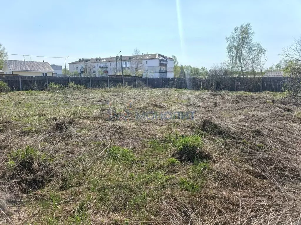 Участок в Нижегородская область, Бор муниципальный округ, с. Городищи ... - Фото 2