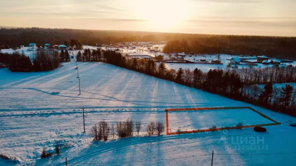 Участок в Ленинградская область, Приозерский район, Красноозерное ... - Фото 1