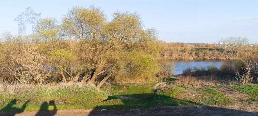 Участок в Воронежская область, с. Семилуки ул. Донская, 43 (8.0 сот.) - Фото 0
