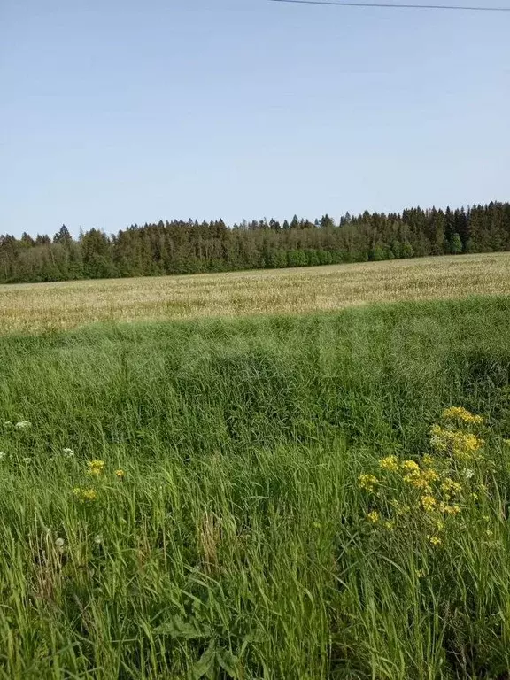 Участок 20 сот. (СНТ, ДНП) - Фото 0