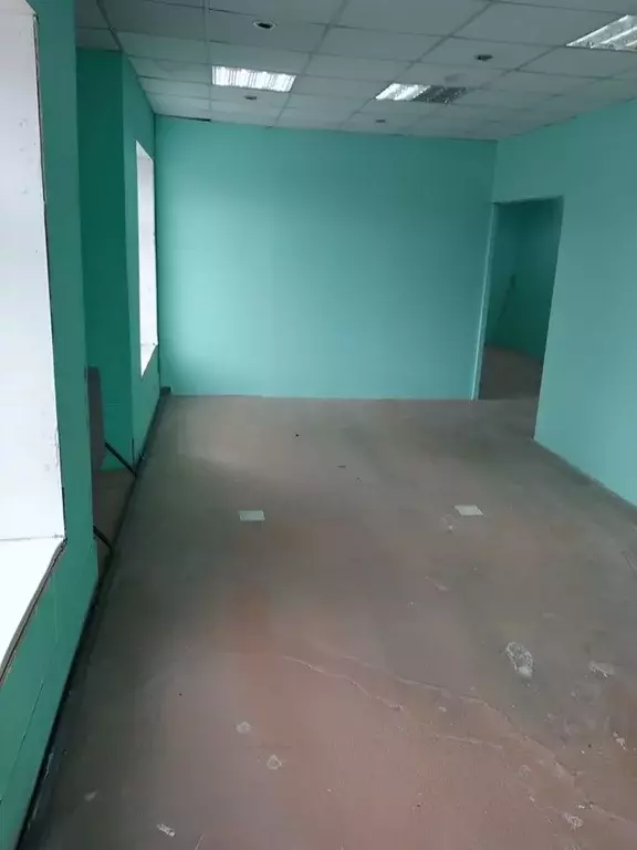 Помещение свободного назначения в Свердловская область, Камышлов ул. ... - Фото 2