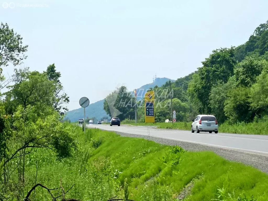 Участок в Приморский край, Партизанский муниципальный округ, село ... - Фото 1