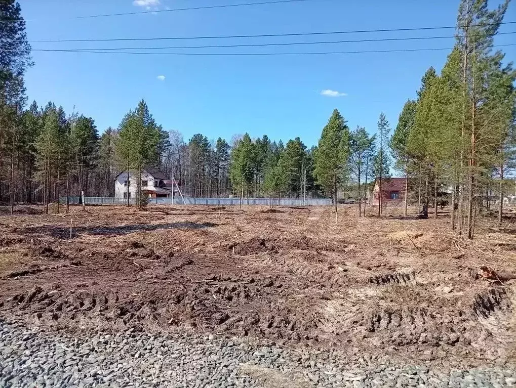 Дом в Тюменская область, Нижнетавдинский муниципальный округ, с. ... - Фото 2