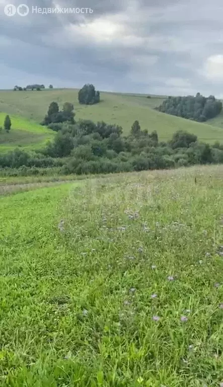 Участок в Майминский район, село Верх-Карагуж (10 м) - Фото 0