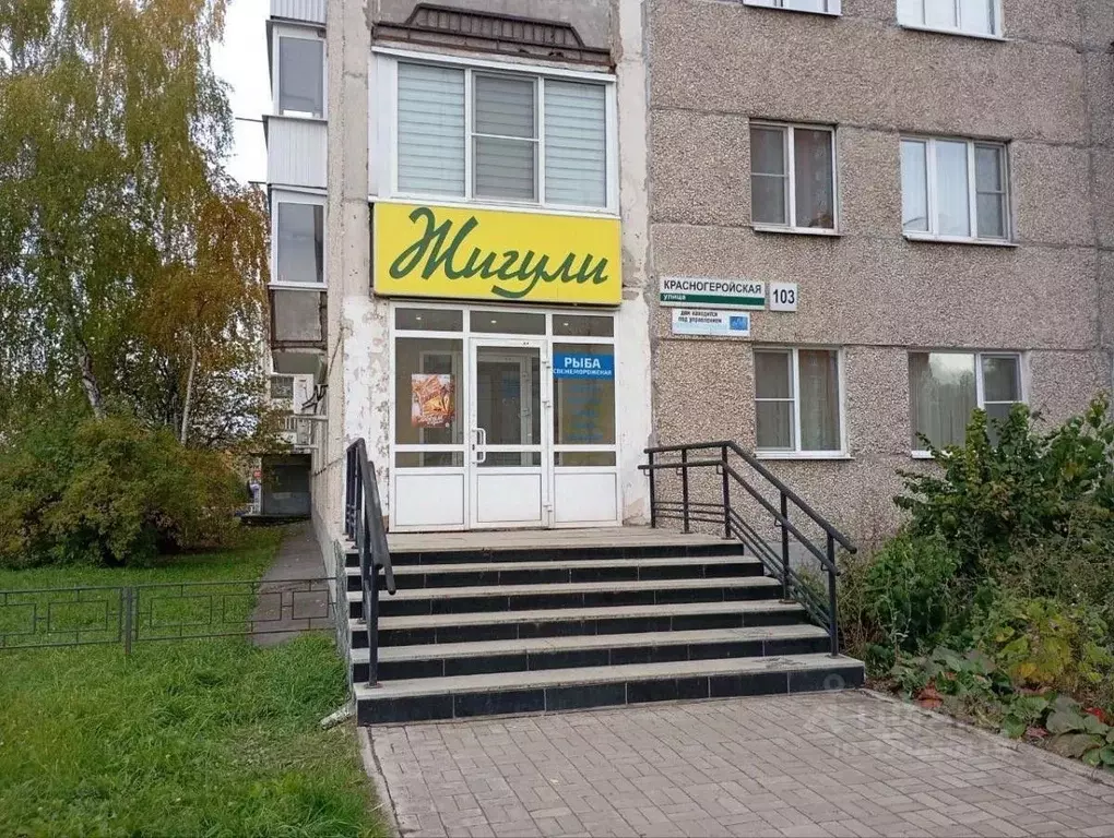 Помещение свободного назначения в Удмуртия, Ижевск Красногеройская ... - Фото 1