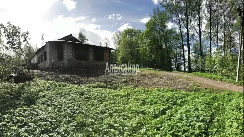 Таунхаус в Ленинградская область, Выборгский район, пос. Первомайское ... - Фото 1