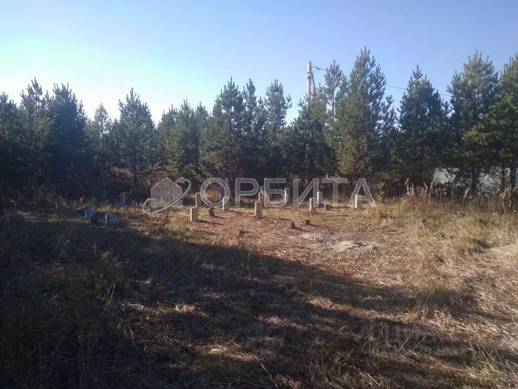 Участок в Свердловская область, Слободо-Туринский район, ... - Фото 1