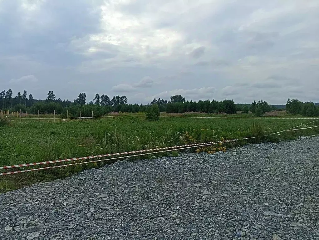 Участок в Свердловская область, Екатеринбург Шабровские дачи жилой ... - Фото 1