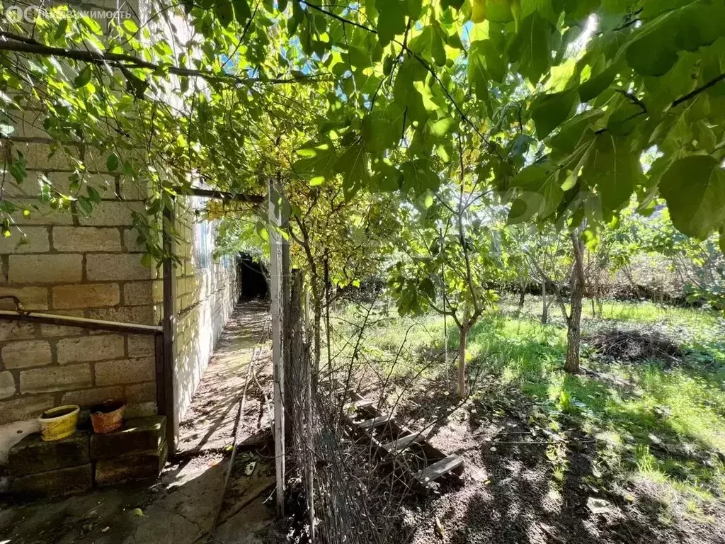 Дом в Сабнова, село Сабнова (185 м) - Фото 2