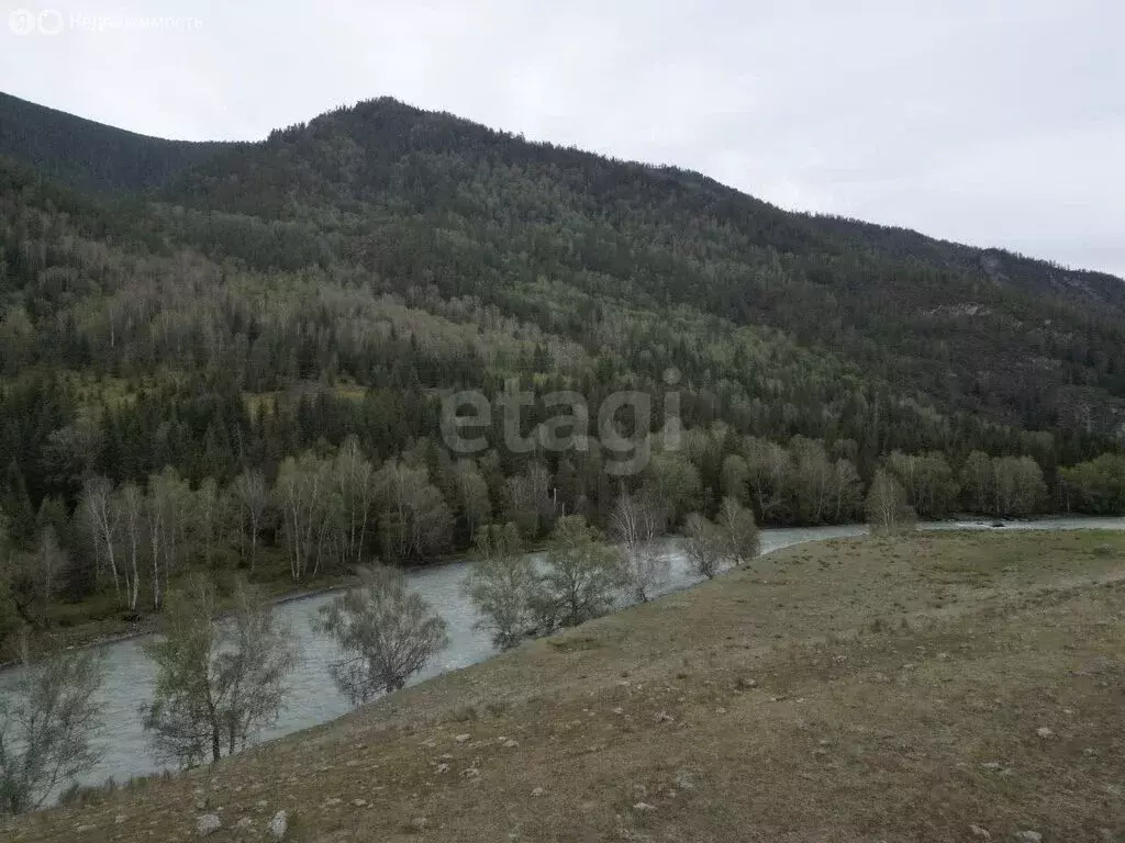 Участок в Республика Алтай, село Онгудай (70 м) - Фото 2