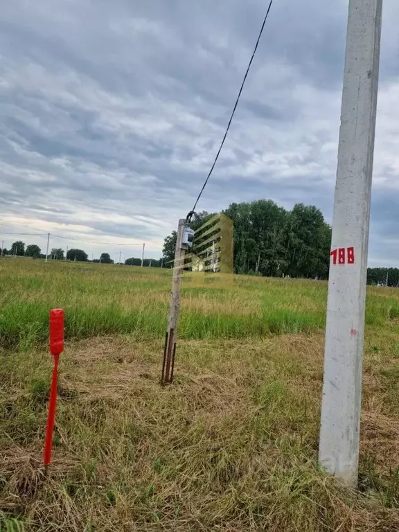 Участок в Новосибирская область, Новосибирский район, Верх-Тулинский ... - Фото 1