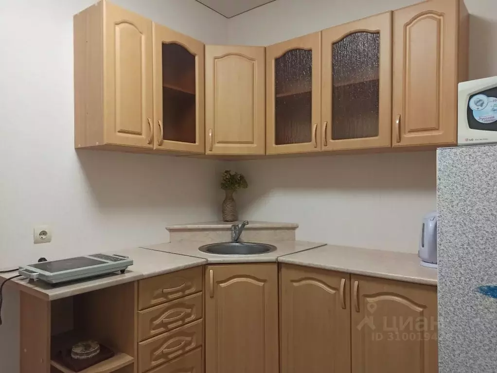 1-к кв. Воронежская область, с. Новая Усмань ул. Раздольная, 2 (29.8 ... - Фото 1