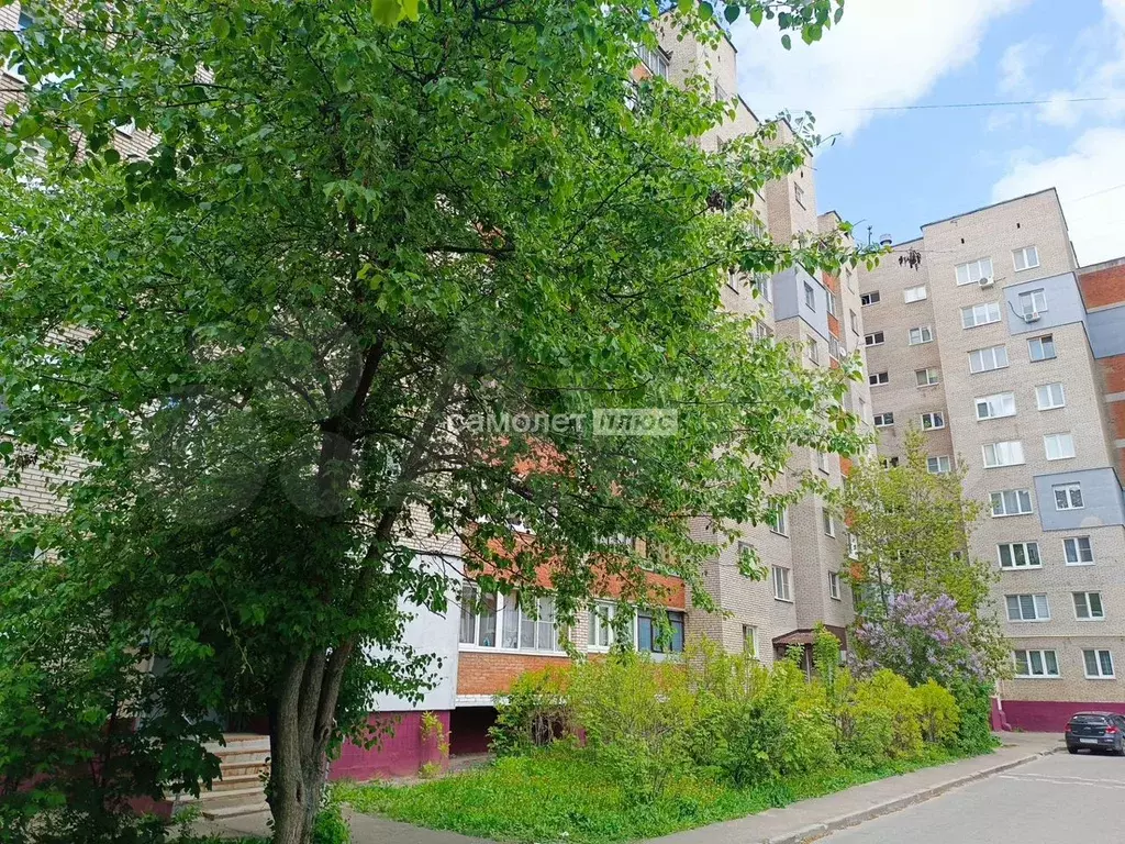 3-к. квартира, 65 м, 5/9 эт. - Фото 1