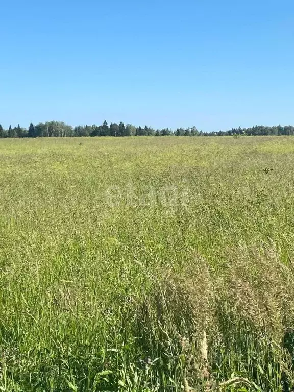 Участок в Костромская область, Красное-на-Волге городское поселение, ... - Фото 1