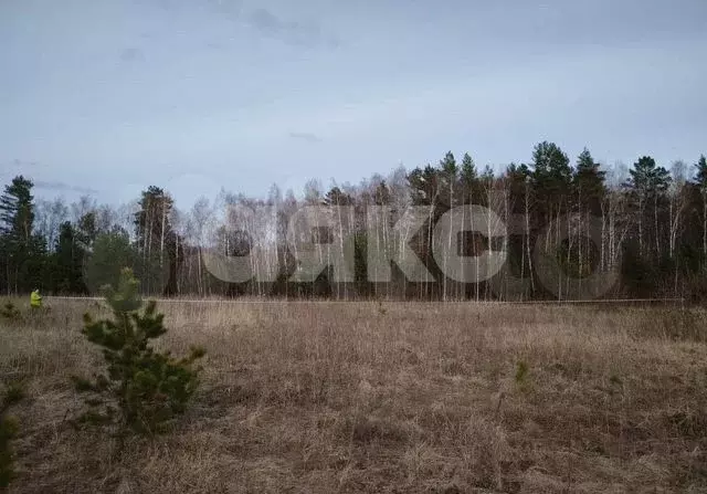 Участок 13 сот. (ИЖС) - Фото 0