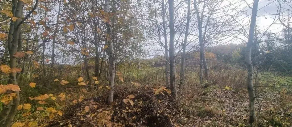 Участок в Московская область, Серпухов городской округ, д. Мещериново  ... - Фото 2