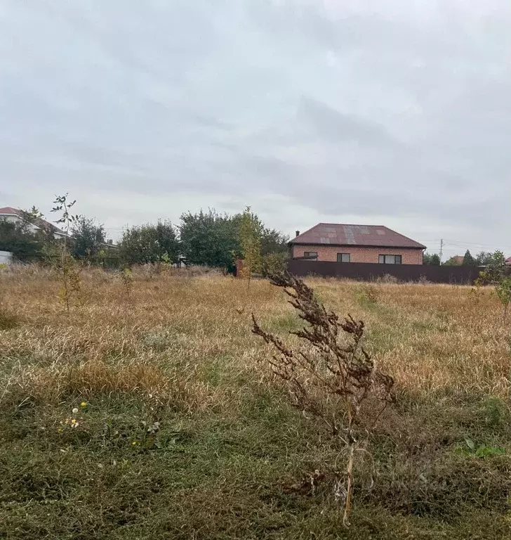 Участок в Ростовская область, Мясниковский район, с. Чалтырь ул. ... - Фото 1