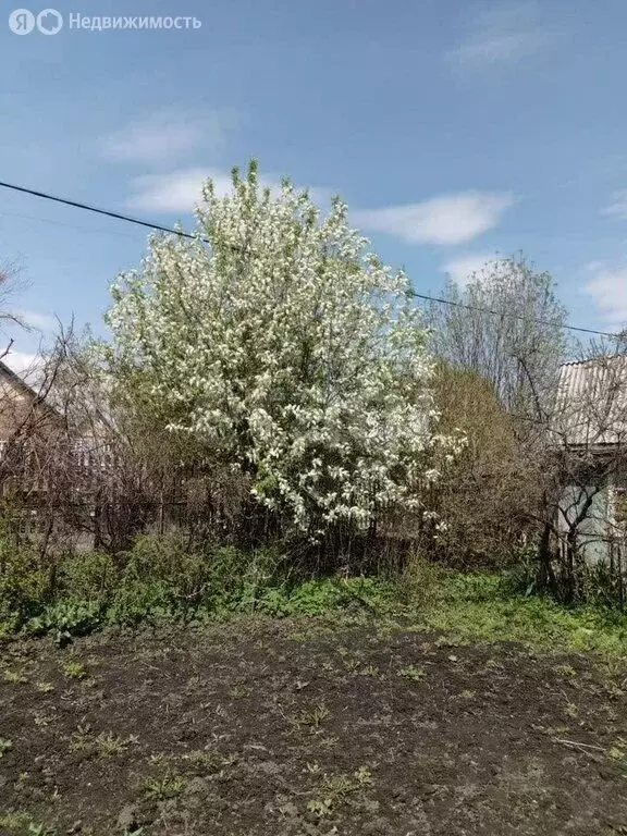 Участок в Новосибирск, СНТ Золотая Горка, аллея 0 (7.1 м) - Фото 1
