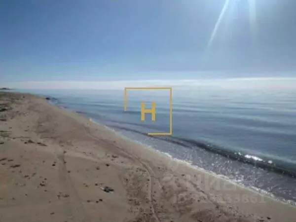 Участок в Крым, Сакский район, Молочненское с/пос, с. Витино ул. ... - Фото 1