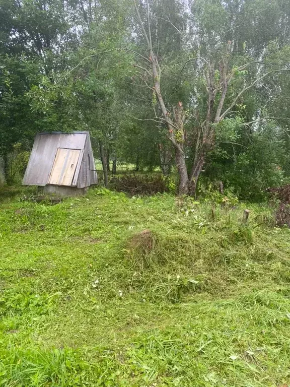 Участок в Московская область, Клин городской округ, д. Введенское, Луч ... - Фото 1