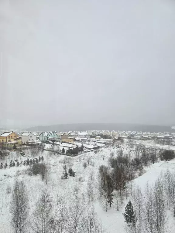 3-к кв. Кемеровская область, Кемерово Лесная Поляна жилрайон, ул. ... - Фото 0