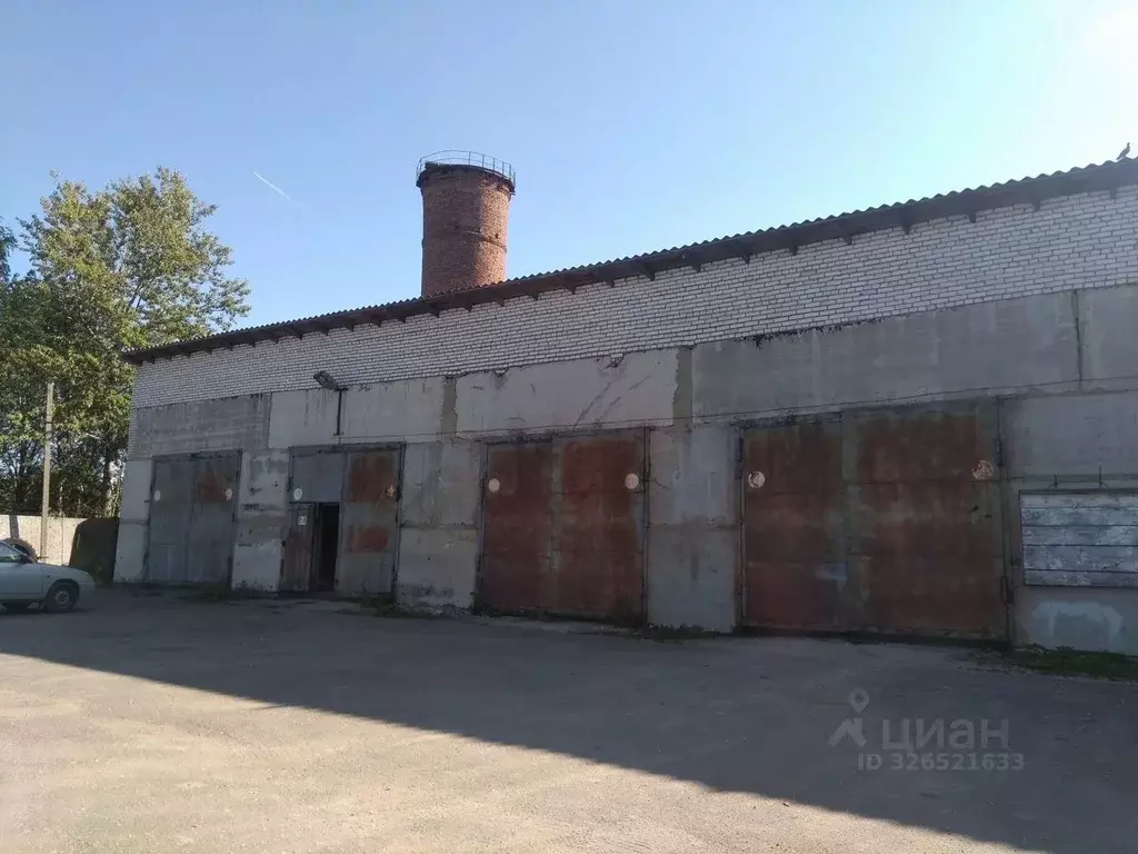 Помещение свободного назначения в Ленинградская область, Волосово ВИЗ ... - Фото 1