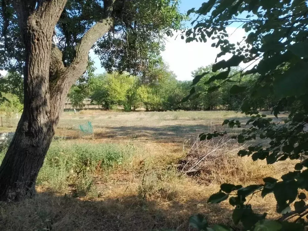 Дом в Краснодарский край, Щербиновский район, Екатериновское с/пос, с. ... - Фото 1